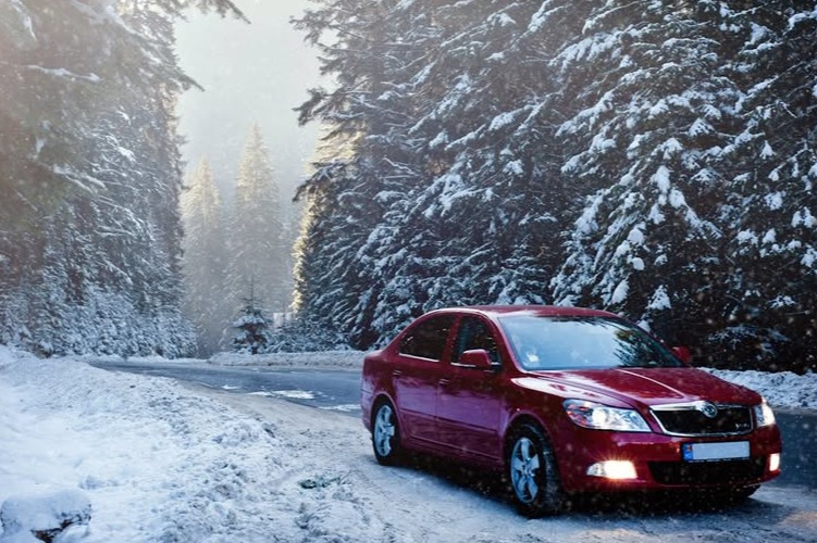 The Ultimate Guide to Must-Have Auto Accessories